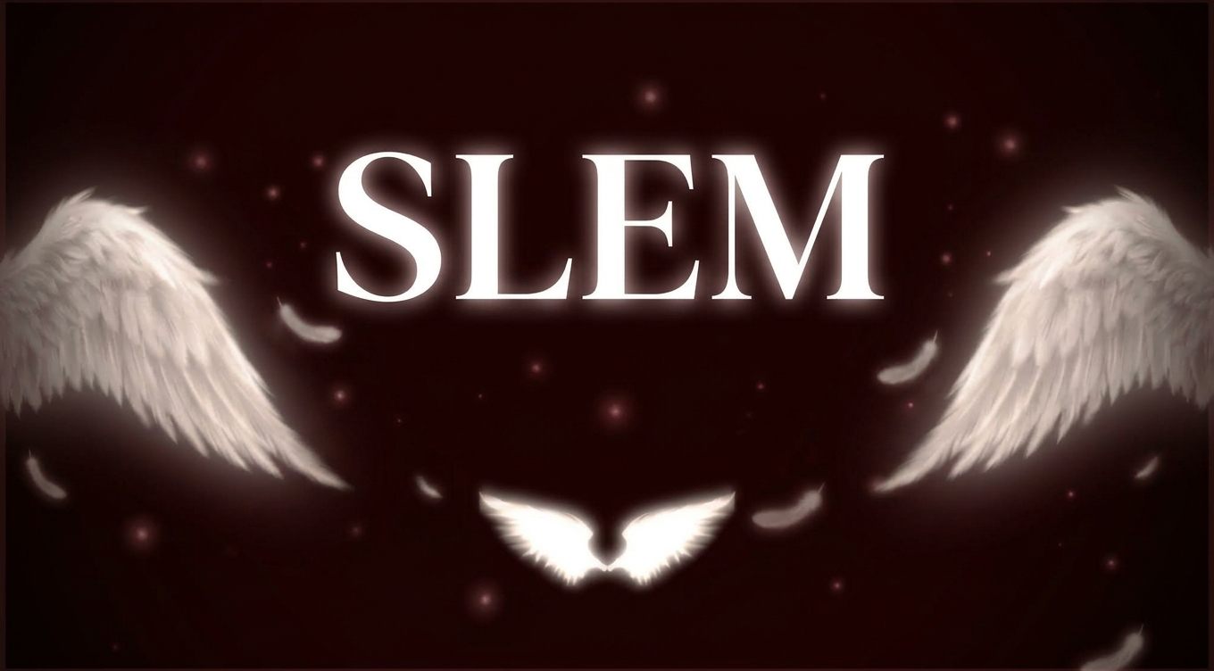 SLEM, between two wings